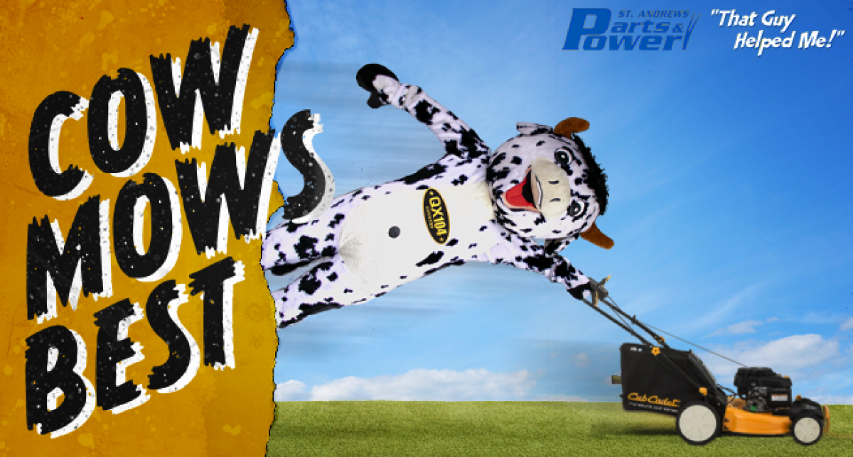 Cow Mows Best 2021